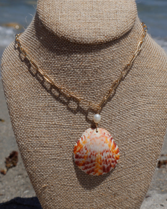 Handmade Kochyli Shell Necklace featuring a natural Sanibel Island seashell on a gold-plated paperclip chain with gold-filled findings, unique and one-of-a-kind.